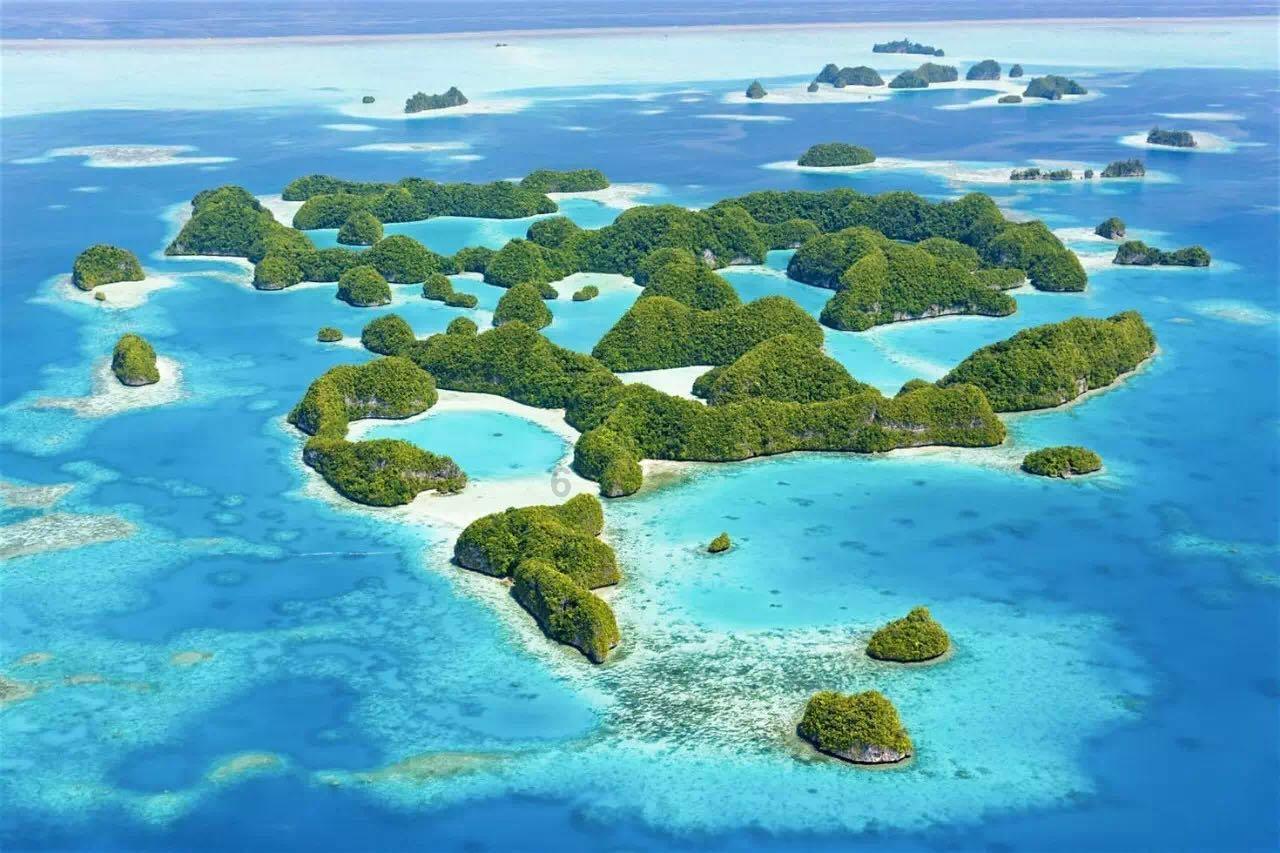 实干笃行,高质发展——北京在明律师事务所2023年度表彰大会暨2024年迎新晚会