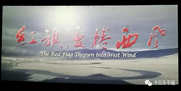 探索知识星球-剖宫产横切和竖切哪个对身体危害更小?,轻松获取专业知识
