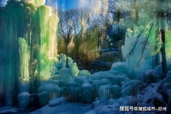 动物帮帮忙保卫家园